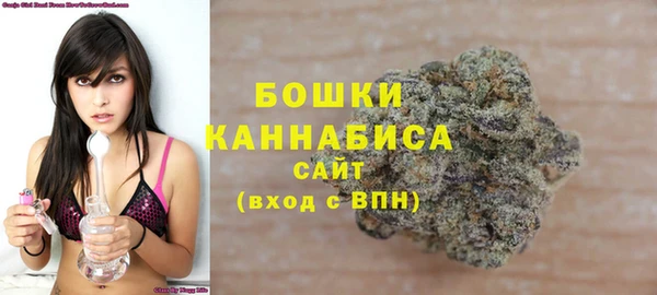 прущие грибы Новозыбков