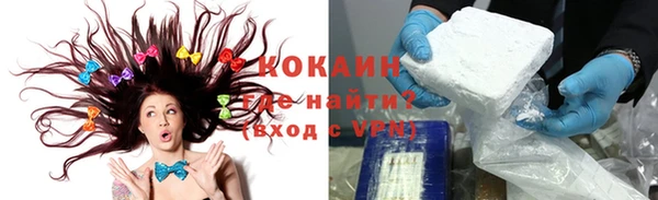 прущие грибы Новозыбков
