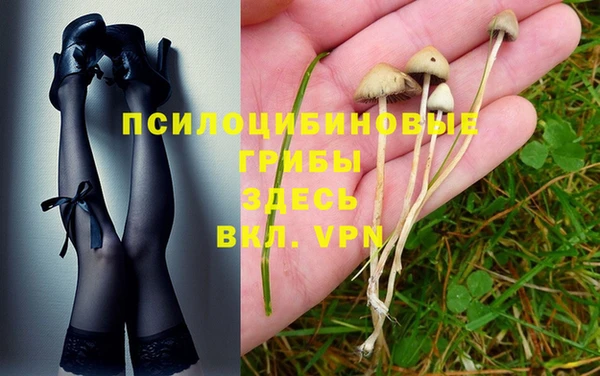 MESCALINE Новодвинск