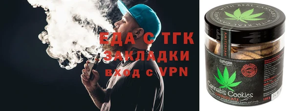 прущие грибы Новозыбков