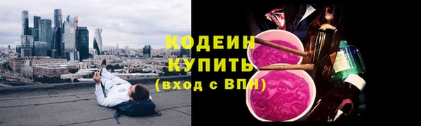 прущие грибы Новозыбков