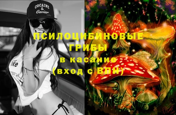 стаф Вязники